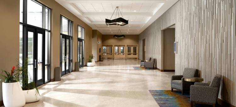 达拉斯艾伦万豪酒店及会议中心(Marriott Dallas Allen Hotel & Convention Center)图片