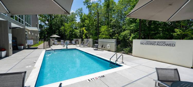 福特米尔卡罗温兹大道TownePlace Suites酒店(TownePlace Suites Fort Mill at Carowinds Blvd.)图片