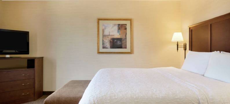 西本德欢朋套房酒店(Hampton Inn & Suites West Bend)图片