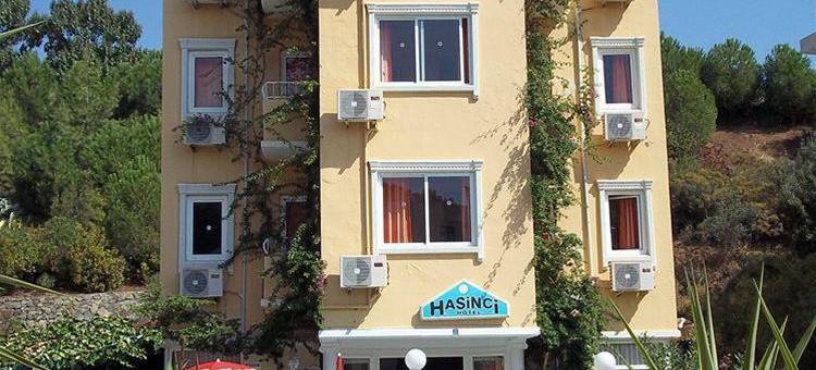 Hasinci Hotel图片