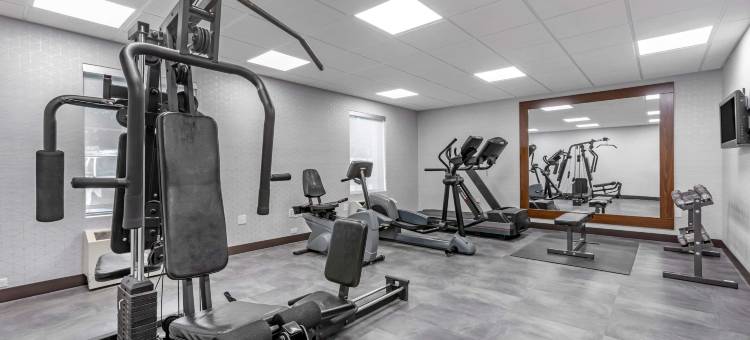 舒适酒店(Comfort Inn)图片