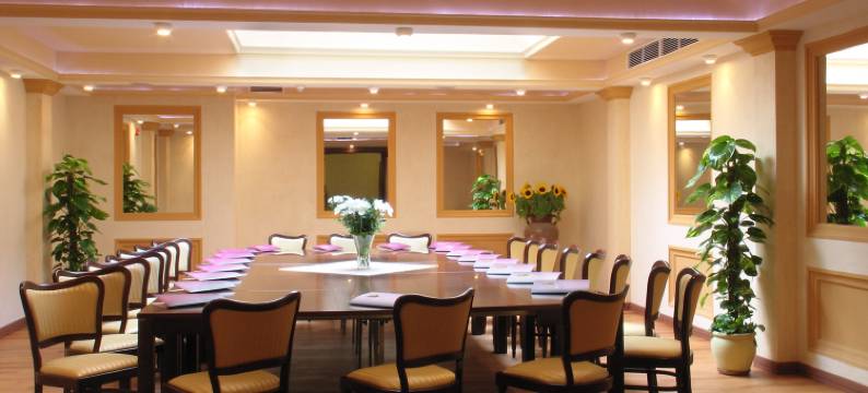 阿蒙吧萨多斯基热舒夫酒店(Hotel Ambasadorski Rzeszów)图片