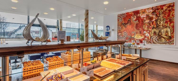 Holiday Inn Express 辛根(Holiday Inn Express Singen)图片