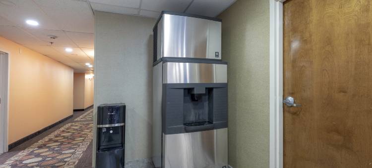 罗德威酒店(Rodeway Inn)图片