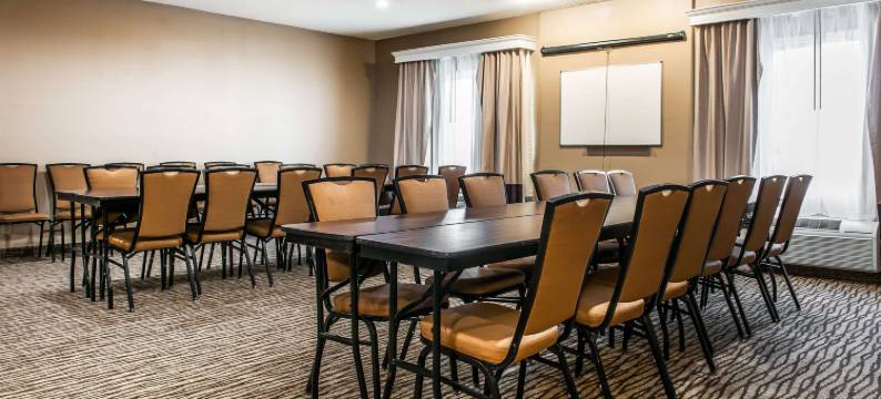 舒适套房酒店(Comfort Inn & Suites)图片