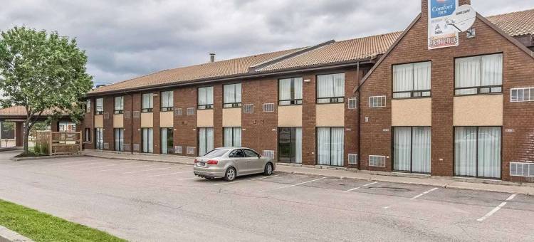 舒适酒店(Comfort Inn)图片