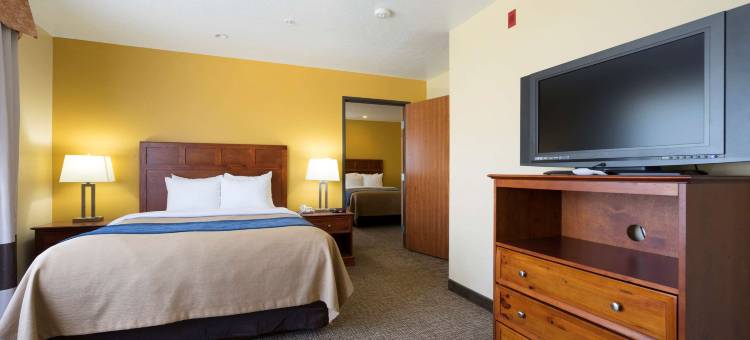 舒适套房(Comfort Inn & Suites)图片