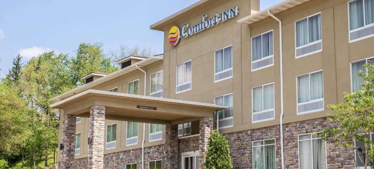 舒适酒店(Comfort Inn)图片