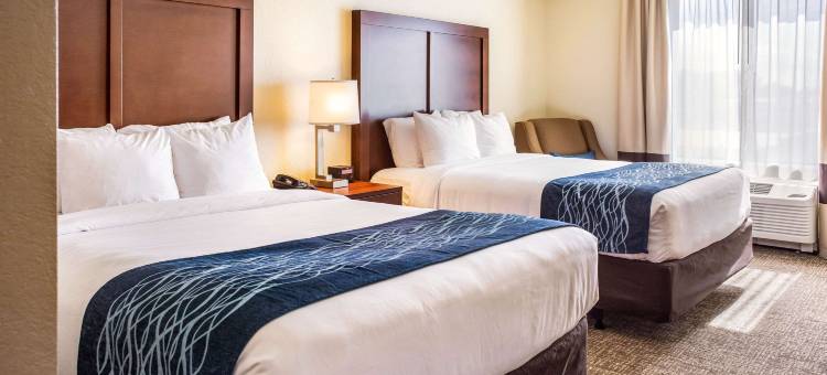 尼亚加拉瀑布大道舒适套房酒店(Comfort Inn & Suites Niagara Falls Blvd USA)图片