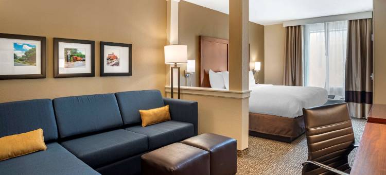 舒适套房酒店(Comfort Inn & Suites)图片