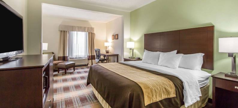 舒适酒店-莱星顿南(Comfort Inn Lexington South)图片