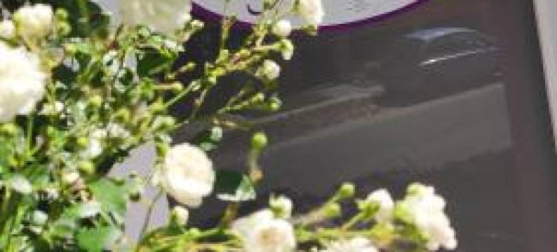 科尔杜尔基咖啡公寓(Apartman Cafe u Kordulky)图片