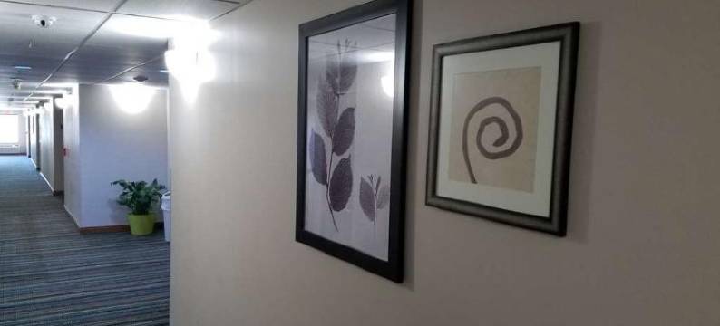 丽笙乡村旅馆及套房，杰克逊维尔 - 橙园(Country Inn & Suites by Radisson, Jacksonville - Orange Park)图片