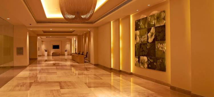 班加罗尔丽笙酒店(Radisson Blu Bengaluru Outer Ring Road)图片