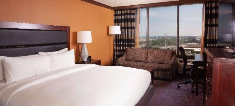 湖畔克里夫兰市中心希尔顿逸林酒店及度假村(DoubleTree by Hilton Hotel Cleveland Downtown - Lakeside)图片