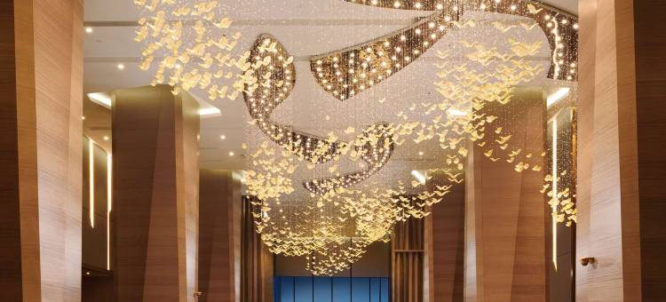 莎阿南希尔顿逸林酒店(DoubleTree by Hilton Shah Alam I-City)图片