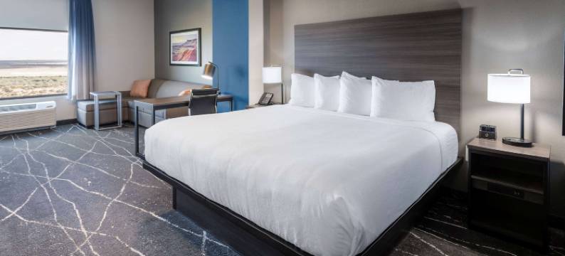 霍尔布鲁克石化森林拉昆塔温德姆酒店及套房(La Quinta Inn & Suites by Wyndham Holbrook Petrified Forest)图片