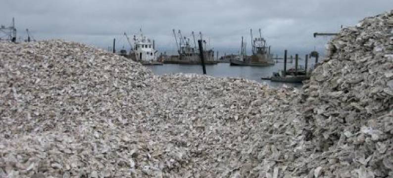 1920s历史小屋(Historic 1920s Cabin)图片