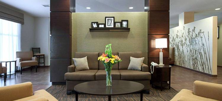卡尔斯巴德洞穴区舒眠套房酒店(Sleep Inn & Suites Carlsbad Caverns Area)图片