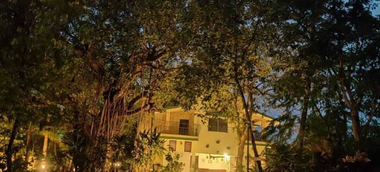 吉尔赏鸟小屋(Gir Birding Lodge)图片