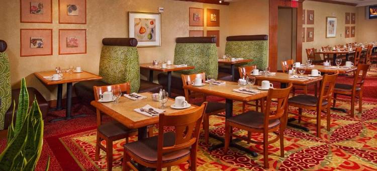 泰森斯角希尔顿花园酒店(Hilton Garden Inn Tysons Corner)图片
