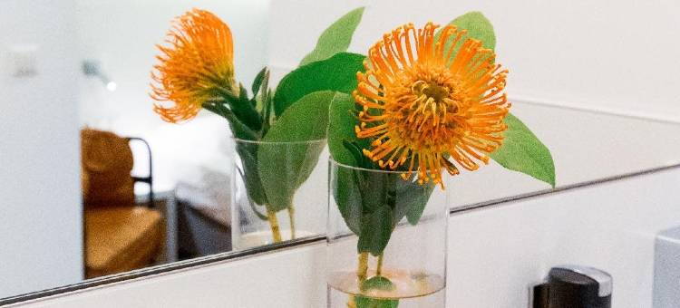 麦斯伟博普拉兹MK慕尼黑酒店(mk | hotel münchen max weber platz)图片