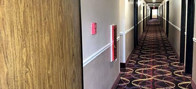纳奇托且斯温德姆速8酒店(Super 8 by Wyndham Natchitoches)图片