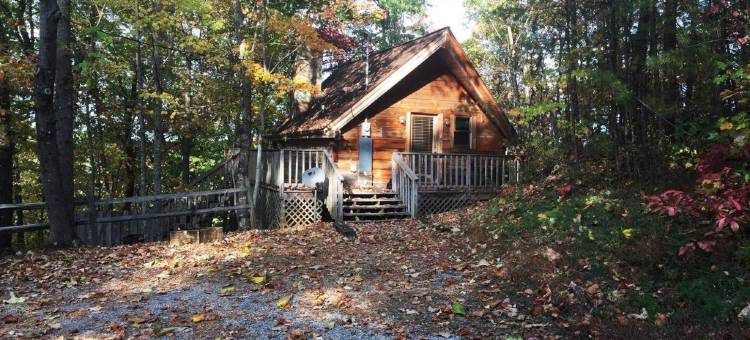 加特林堡阿拉斯加探险小屋酒店(Gatlinburg Adventure Cabins)图片