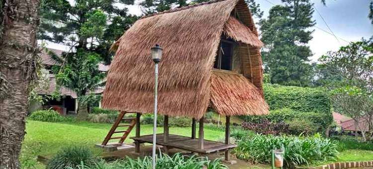 高尔夫露台别墅(Terrace Villa Golf)图片