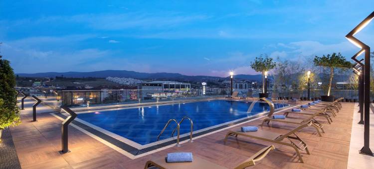 亚洛瓦希尔顿花园酒店(Hilton Garden Inn Yalova)图片