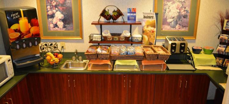 岩石丘/夏洛特地区麦客达套房酒店(Microtel Inn & Suites by Wyndham Rock Hill/Charlotte Area)图片