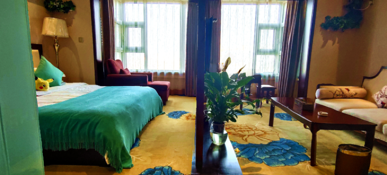 梅山大酒店(大名县政府店)图片