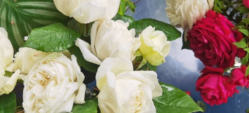 Yping公寓(尚书街分店)图片