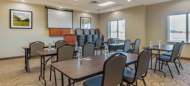 舒适套房酒店(Comfort Inn & Suites)图片