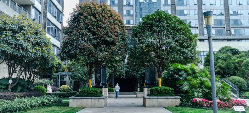 今夜星光闪闪公寓(东华门街分店)图片