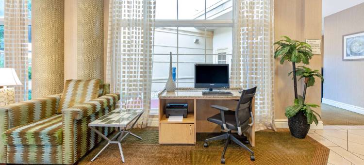 南佛罗里达大学拉昆塔温德姆套房酒店-近布希花园(La Quinta Inn & Suites by Wyndham USF (Near Busch Gardens))图片