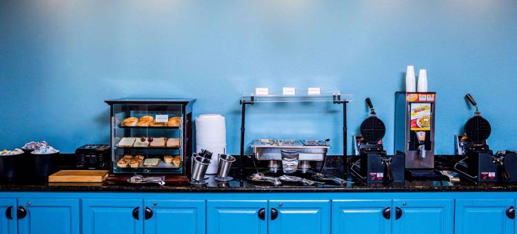 威尔逊丽怡酒店(Country Inn & Suites by Radisson, Wilson, NC)图片