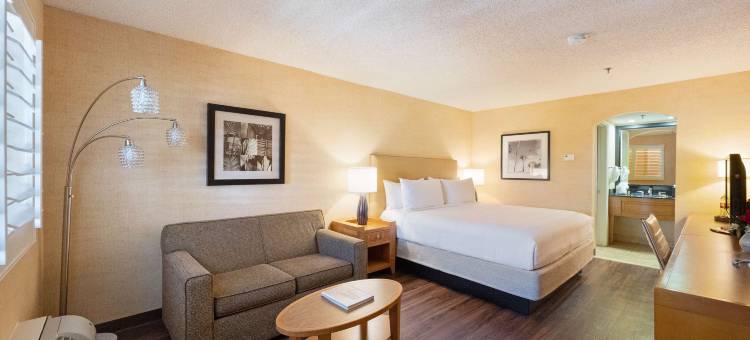 拉斯布里萨斯贝斯特韦斯特优质酒店(Best Western Plus Las Brisas Hotel)图片