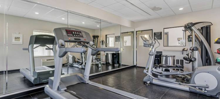 坦帕机场北丽怡酒店(Country Inn & Suites by Radisson, Tampa Airport North, FL)图片