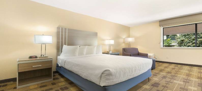 阿马多尔贝斯特韦斯特酒店(Best Western Amador Inn)图片