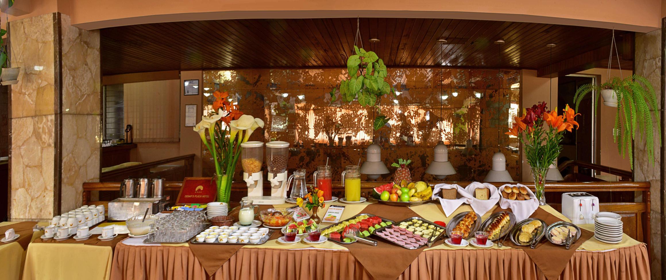 Cesar's Plaza Hotel Over view