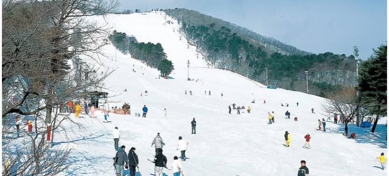 绿色Plus高级酒店(Hotel Premium Green Plus)图片