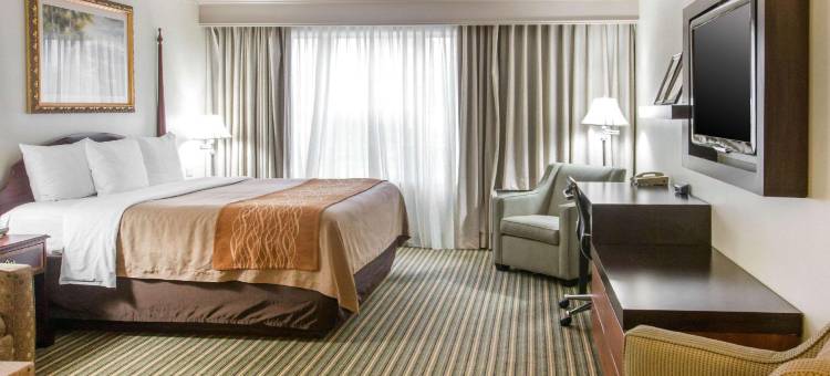 普莱恩韦尔舒适酒店(Comfort Inn)图片