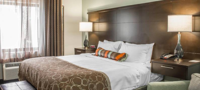 Staybridge Suites 北杰克逊(Staybridge Suites JACKSONVILLE-CAMP LEJEUNE AREA by IHG)图片