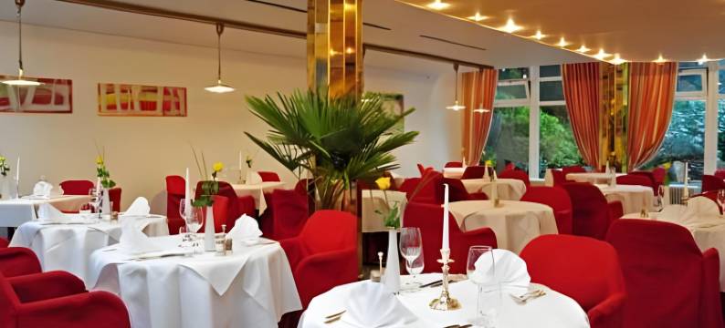 巴登韦勒菲尼度假酒店(Fini-Resort Badenweiler)图片