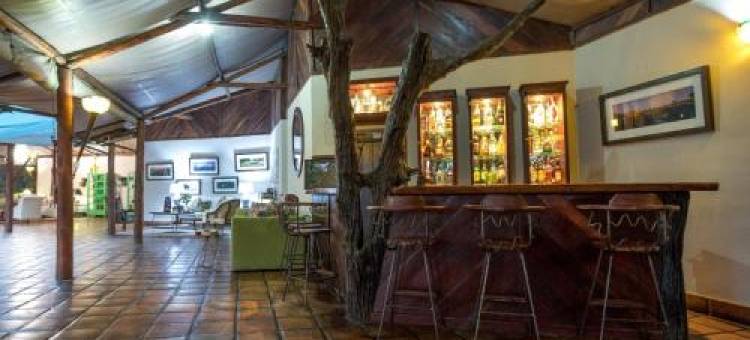 Tintswalo Siankaba图片