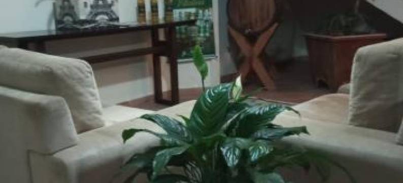 维塔勒酒店(Hotel Vitalle)图片