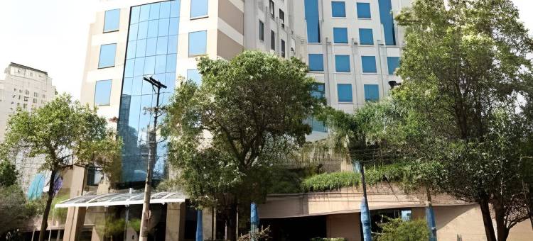 蓝树维波迪维努甄选酒店(Blue Tree Premium Morumbi)图片