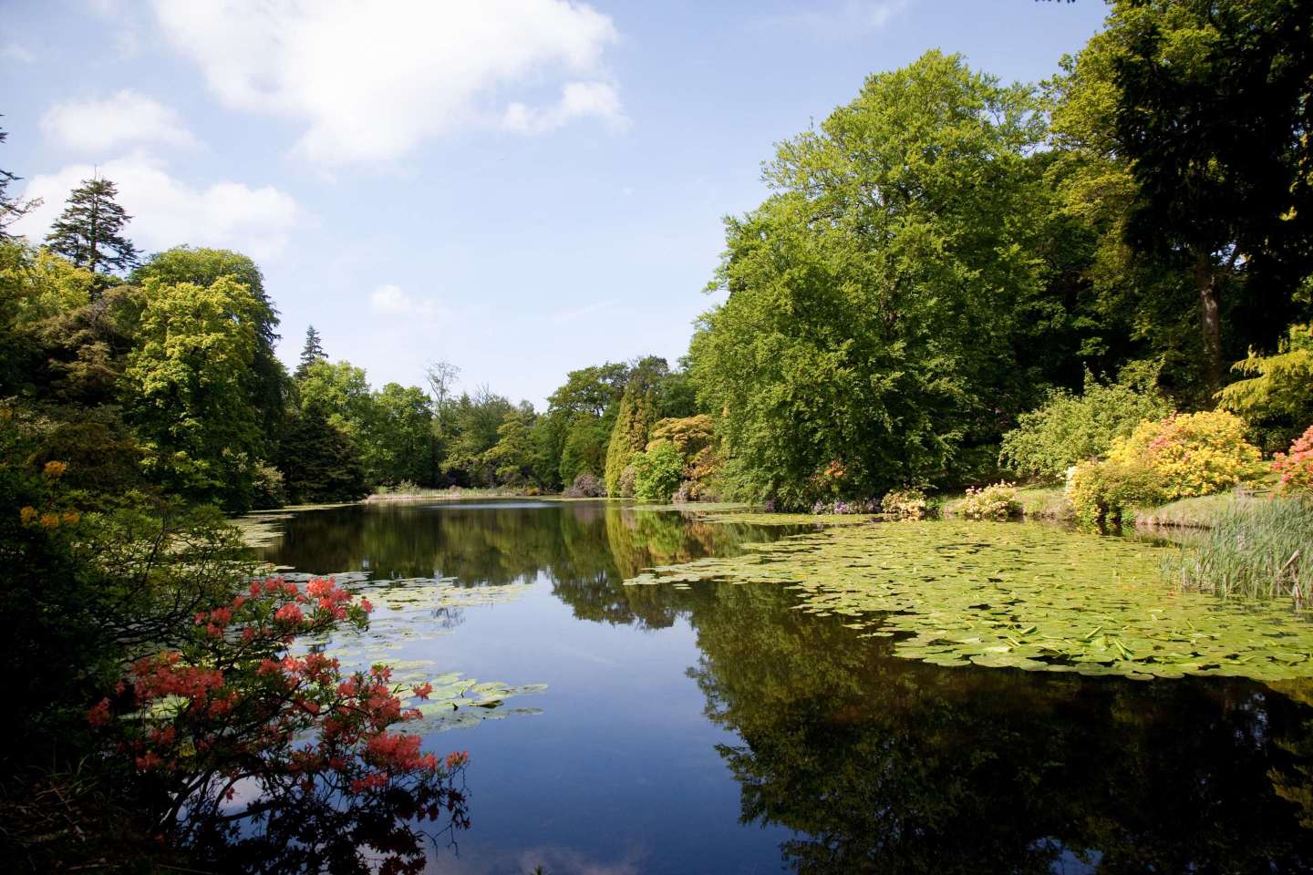 Swinton ParkOver view