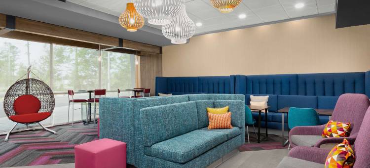 西杰克逊维尔希尔顿酒店(Tru by Hilton Jacksonville West I 295)图片